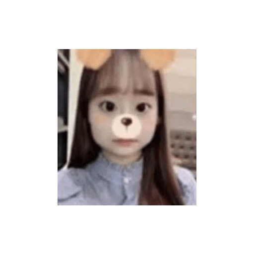 XDD 26