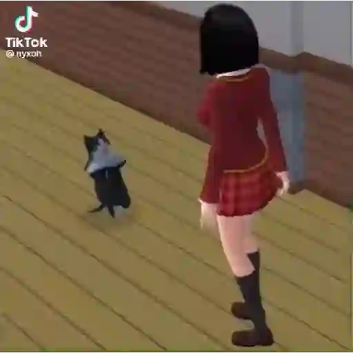 Xd??