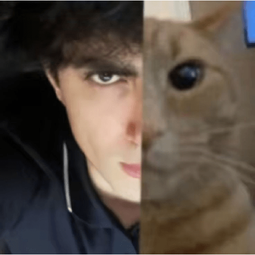 1545070916.png