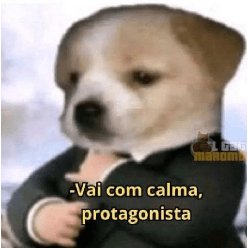 Novos 2025 30