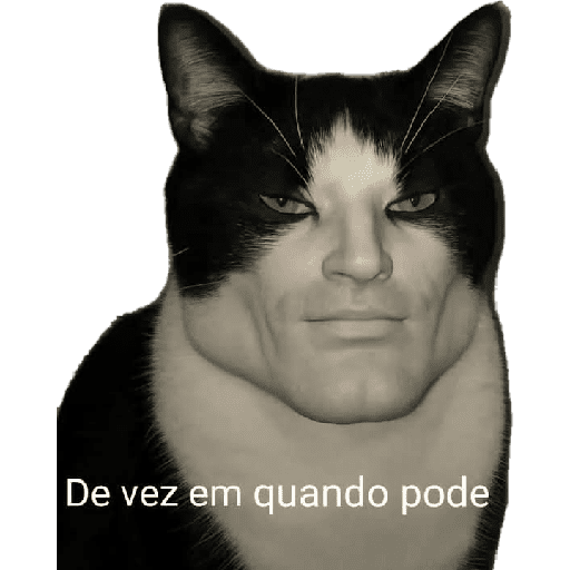 Novos 2025 7