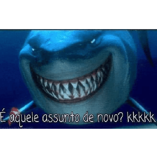 Novos 2025 12