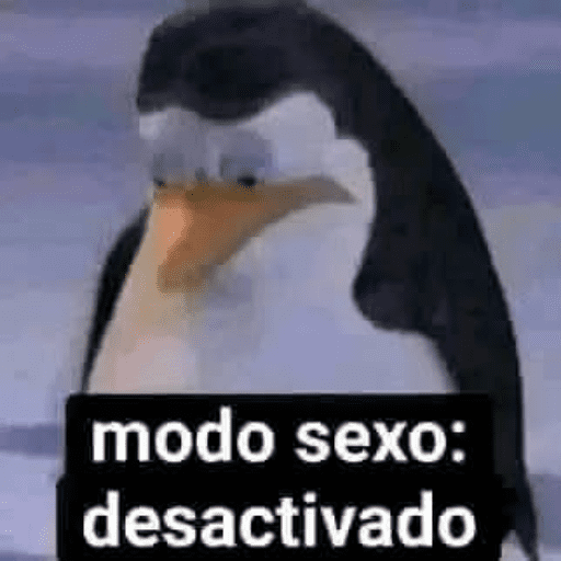 Novos 2025 20