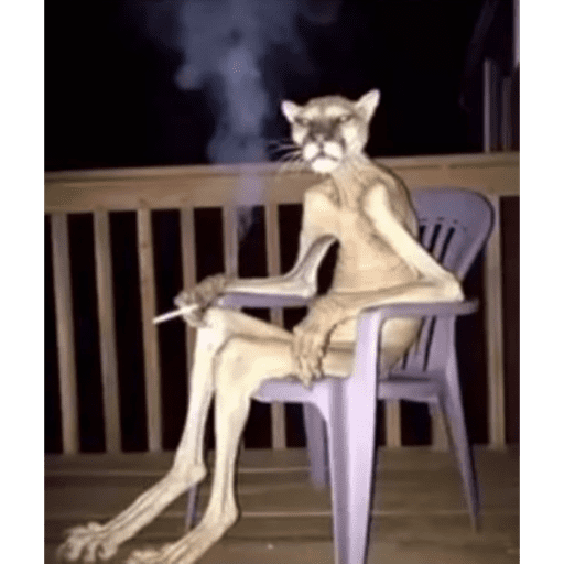 Concavenator 15