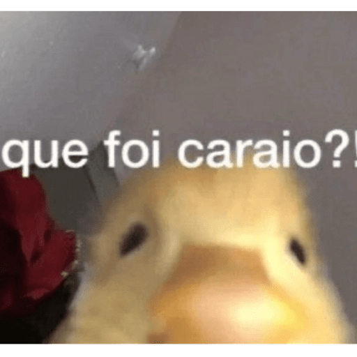 Animais - 1 2