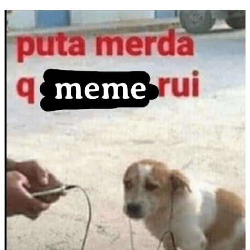 Animais - 1 7