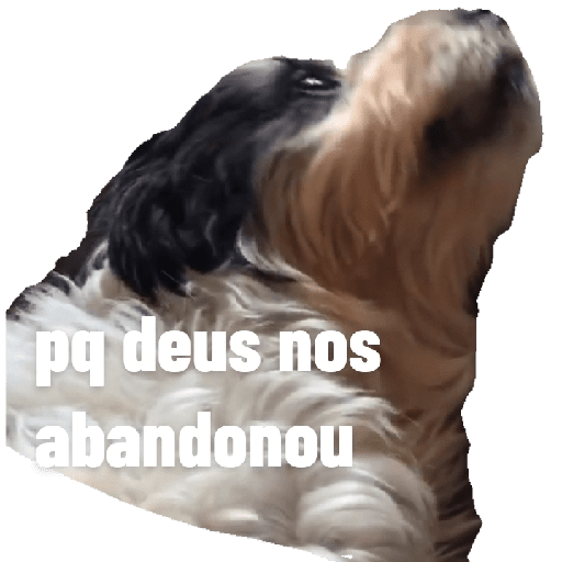 Animais - 1 8