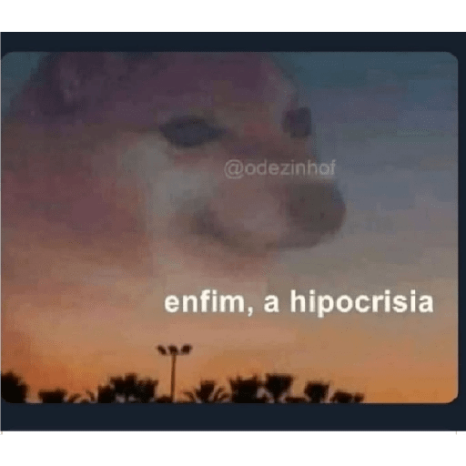 Animais - 1 11