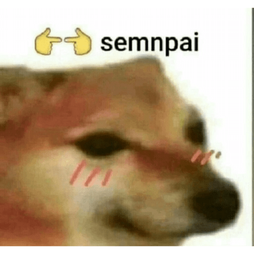 Animais - 1 12