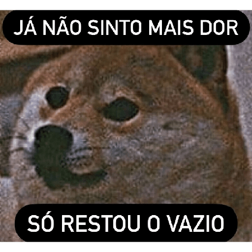 Animais - 1 13