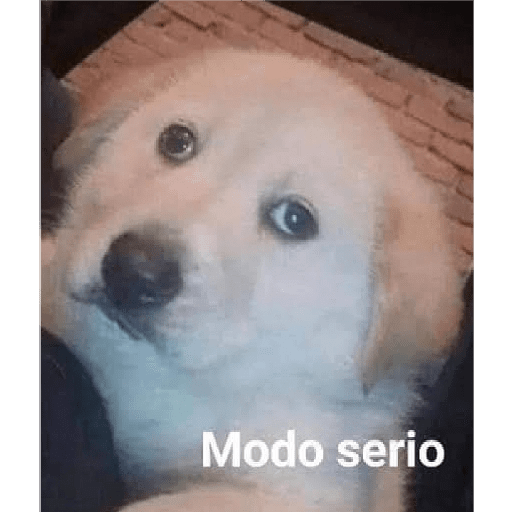 Animais - 1 14