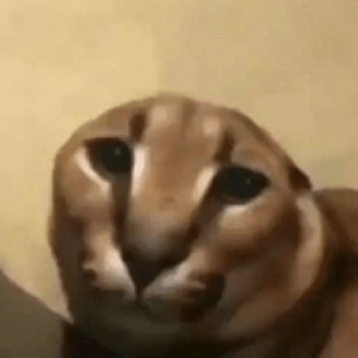 Animais - 1 28