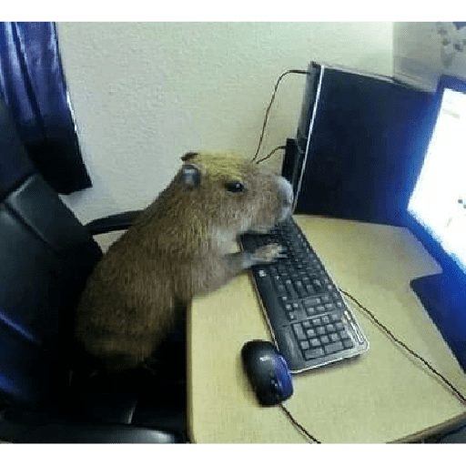 Animais - 1 29