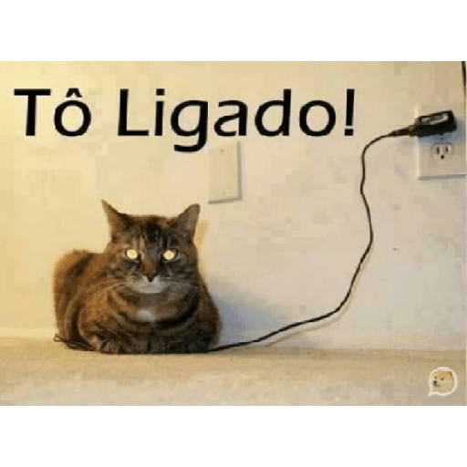Animais - 1 5