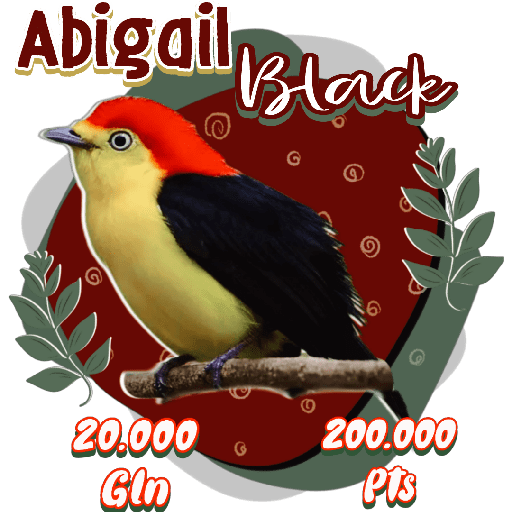 Mascota/la maleta de newt  30