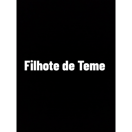 #frases aleatório 7 23
