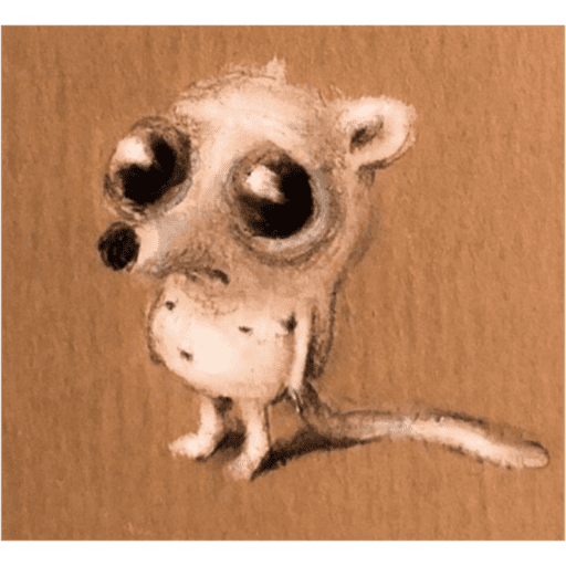New chihuahua 2