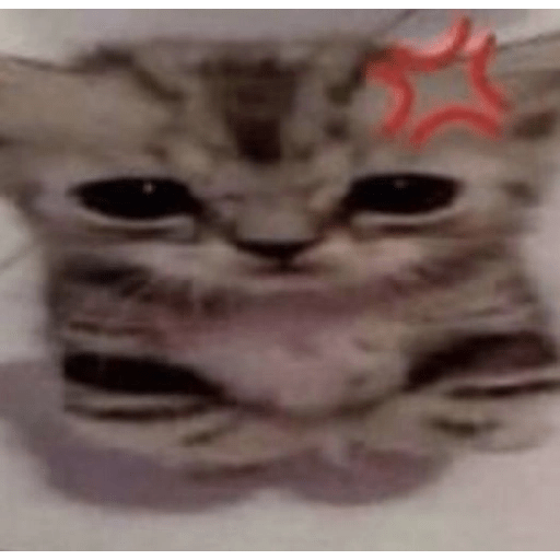 Random #3 waa 4