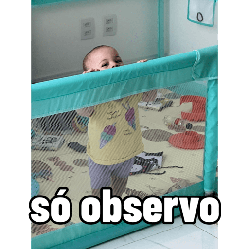 Minhas figurinhas