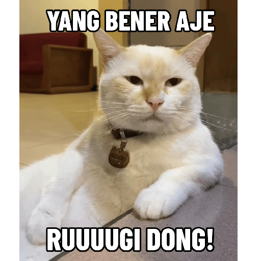 Kocheng 8