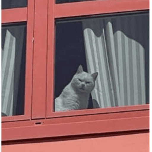 Huh?!