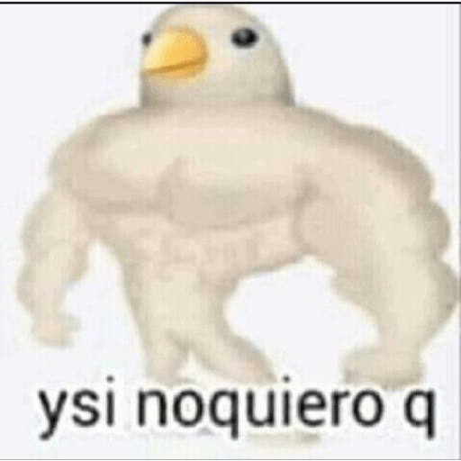 What Does Y Si No Quiero Mean What Does Y Si No Quiero Mean