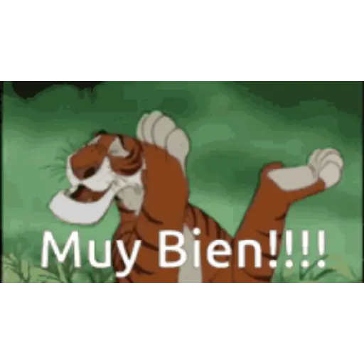 Muy bien 4