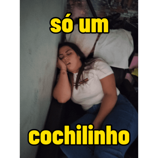 Minhas figurinhas