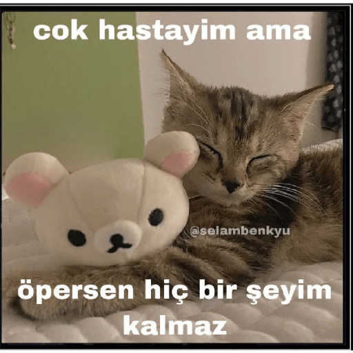 Kedy love 2 7