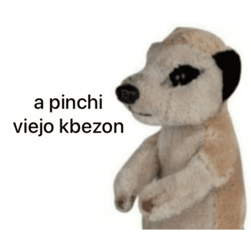 .... 7