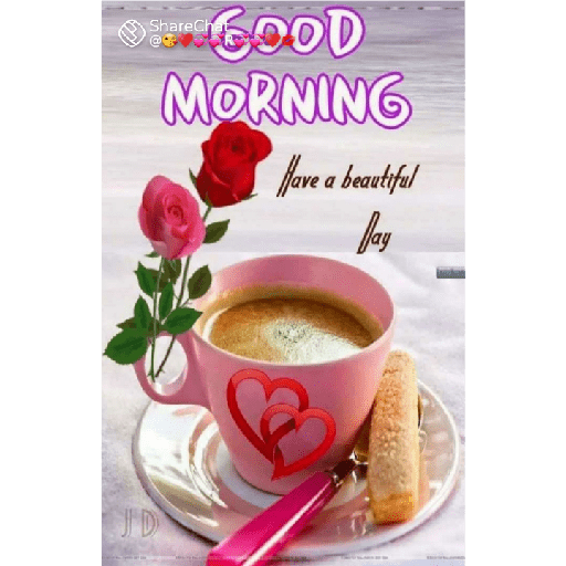 Good morning 🌅