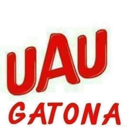 Aleatorios  14