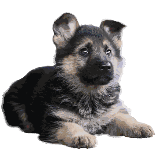 ANIMAL PACK 2