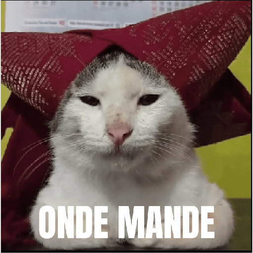 Onde mande 1
