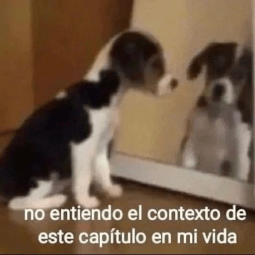 Animalitos en random    😋💕 12