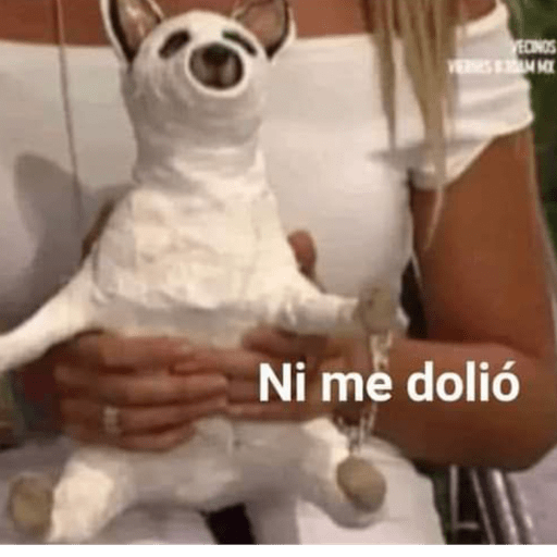 Animalitos en random    😋💕 2
