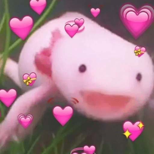 Ajolotes Cutes ❣️🥺