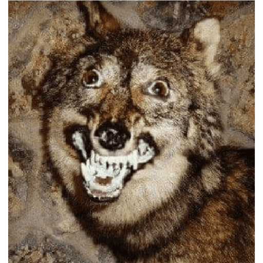 Animalitos taxidermizados 7