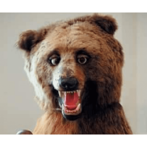 Animalitos taxidermizados 2