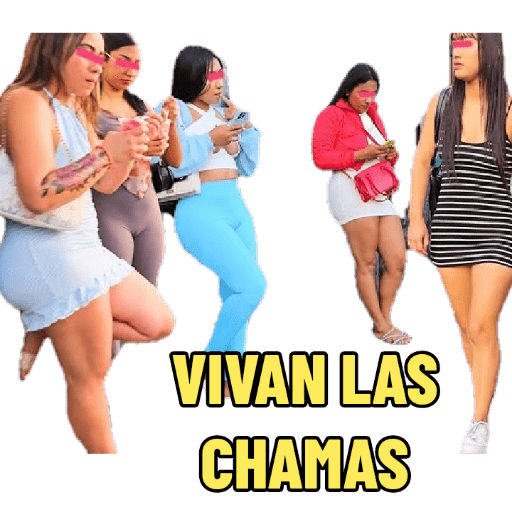 Mis pegatinas 22