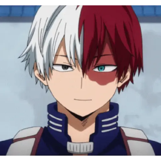 Anime:BOKU NO HERO 9