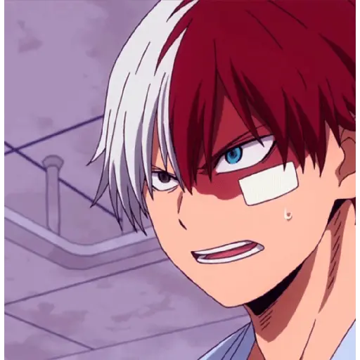Anime:BOKU NO HERO 5