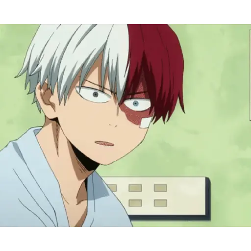 Anime:BOKU NO HERO 10