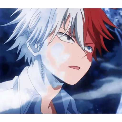 Anime:BOKU NO HERO 11