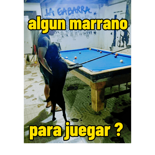 Mis pegatinas 12