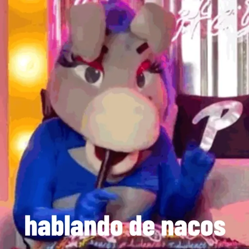 Lo mas IN DE LA BURRONA  22