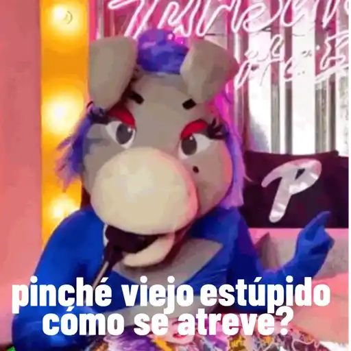 Lo mas IN DE LA BURRONA  21