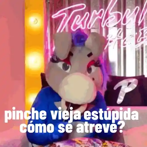 Lo mas IN DE LA BURRONA  12