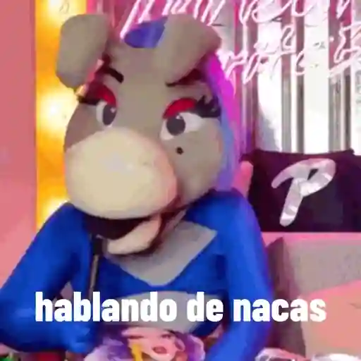 Lo mas IN DE LA BURRONA  13