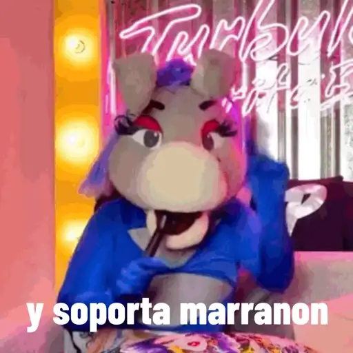 Lo mas IN DE LA BURRONA  17